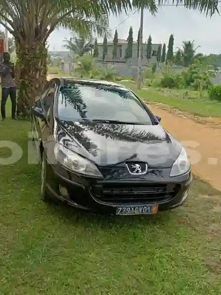 Peugeot 4070