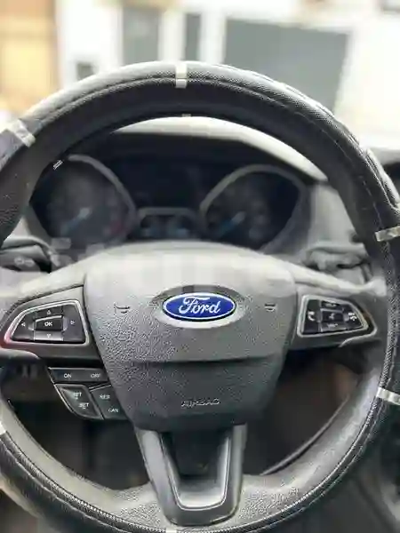 Ford Focus0