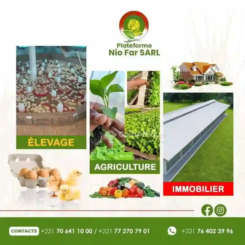 Terrain Agricole- Mboro0