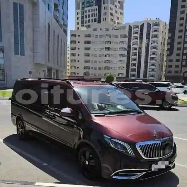 Mercedes‒benz Viano - Vue 1