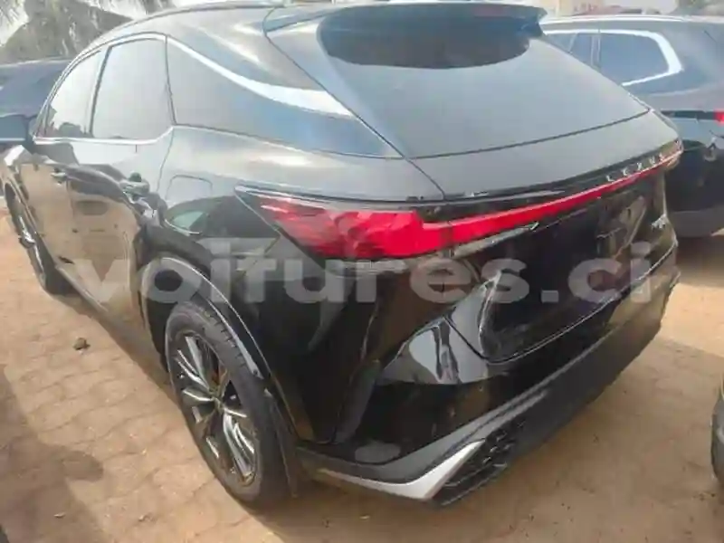 Lexus RX - Vue 4