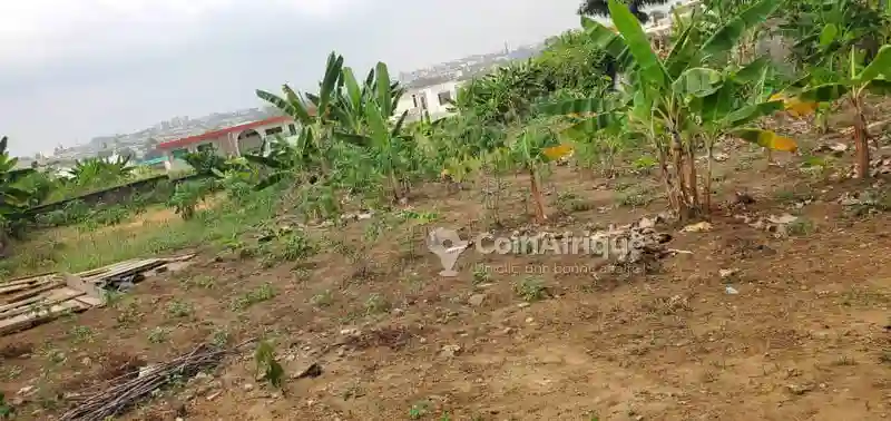 Terrain 2000m² -golf 4 - Vue 2
