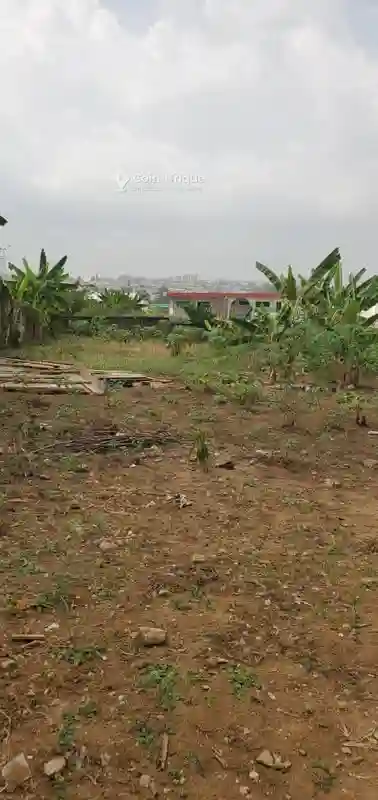 Terrain 2000m² -golf 4 - Vue 4