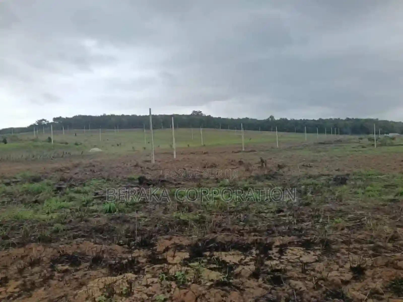 100 Lots DE 400m2 Avec TF Et Acd Notifie - Vue 1