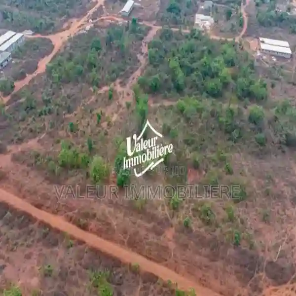 Terrain en Vente a Yamoussoukro - Vue 1