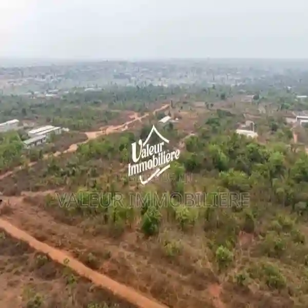 Terrain en Vente a Yamoussoukro - Vue 3