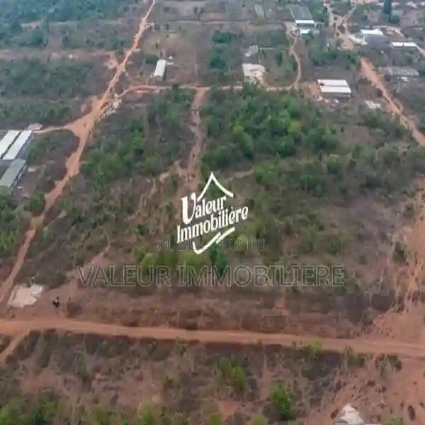 Terrain en Vente a Yamoussoukro - Vue 4