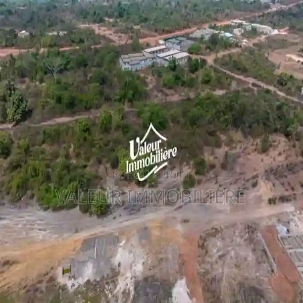 Terrain en Vente a Yamoussoukro - Vue 5
