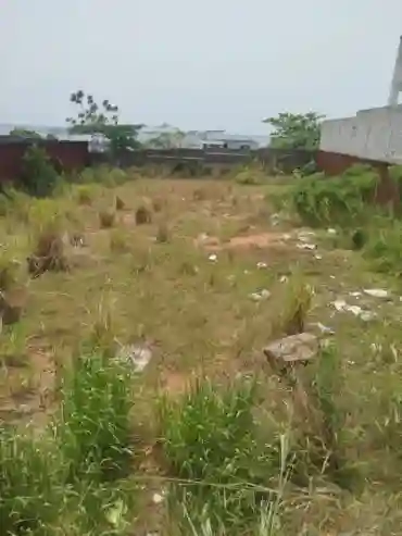 Terrain de 1000m2 à Vendre à la Riviera Abatta - Vue 2
