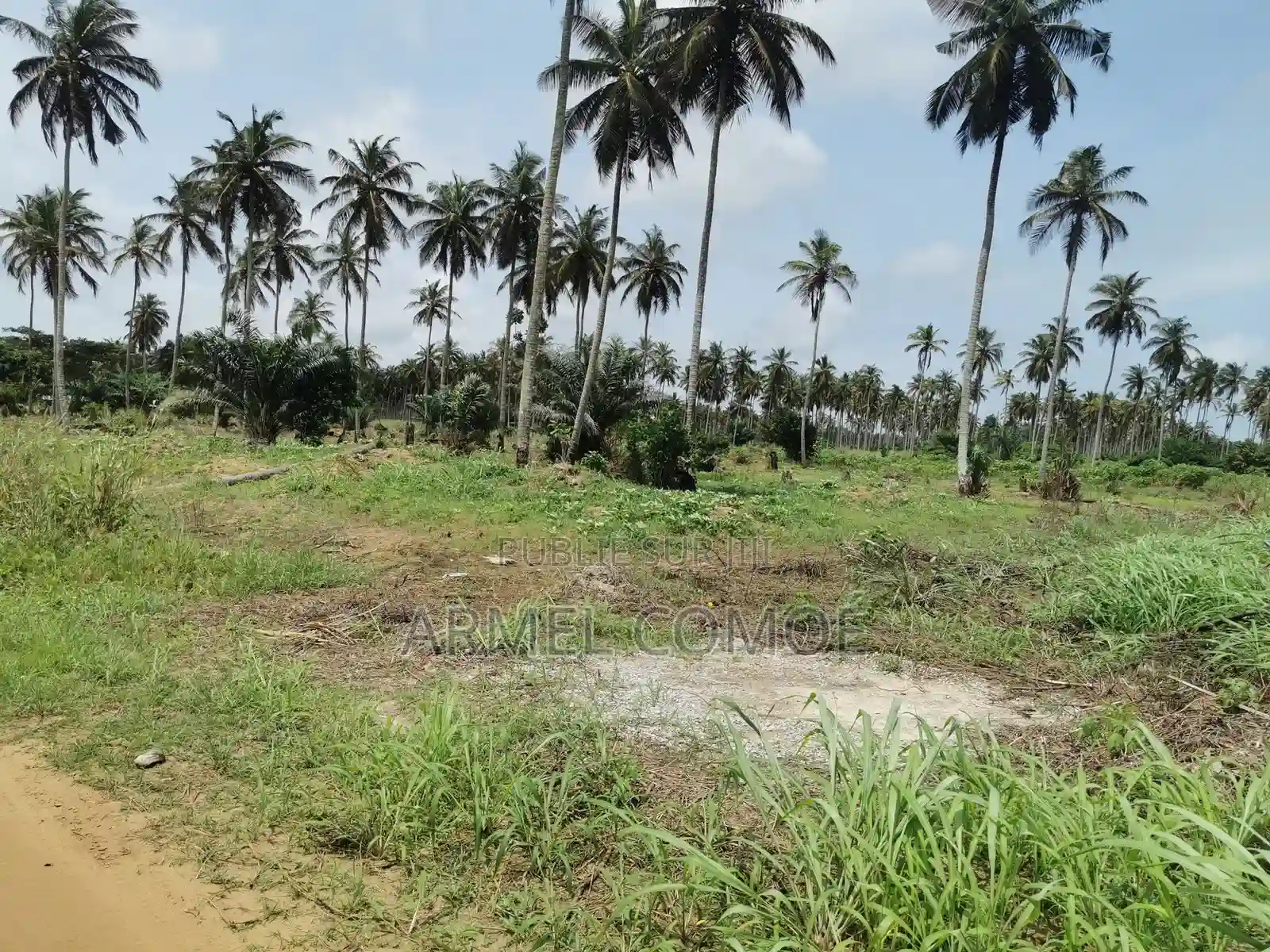 Terrain en Vente Sicor Jacqueville - Vue 1