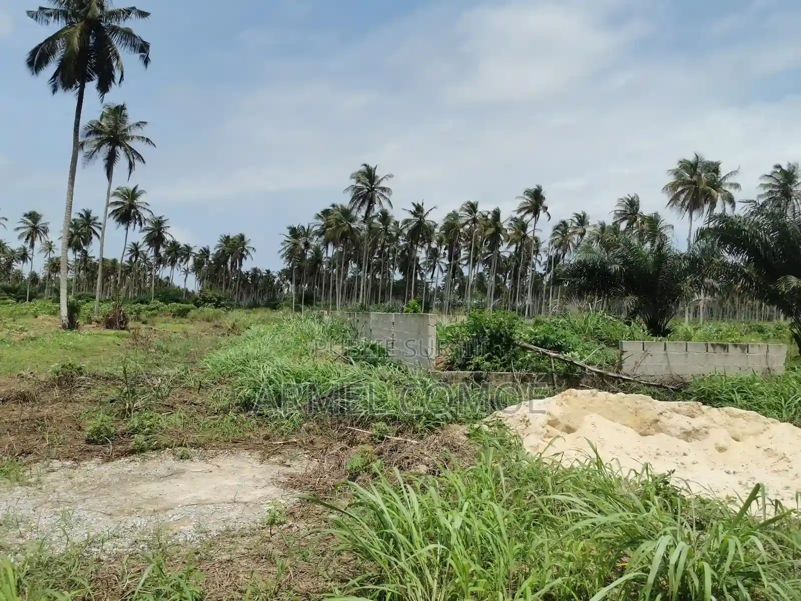 Terrain en Vente Sicor Jacqueville - Vue 2