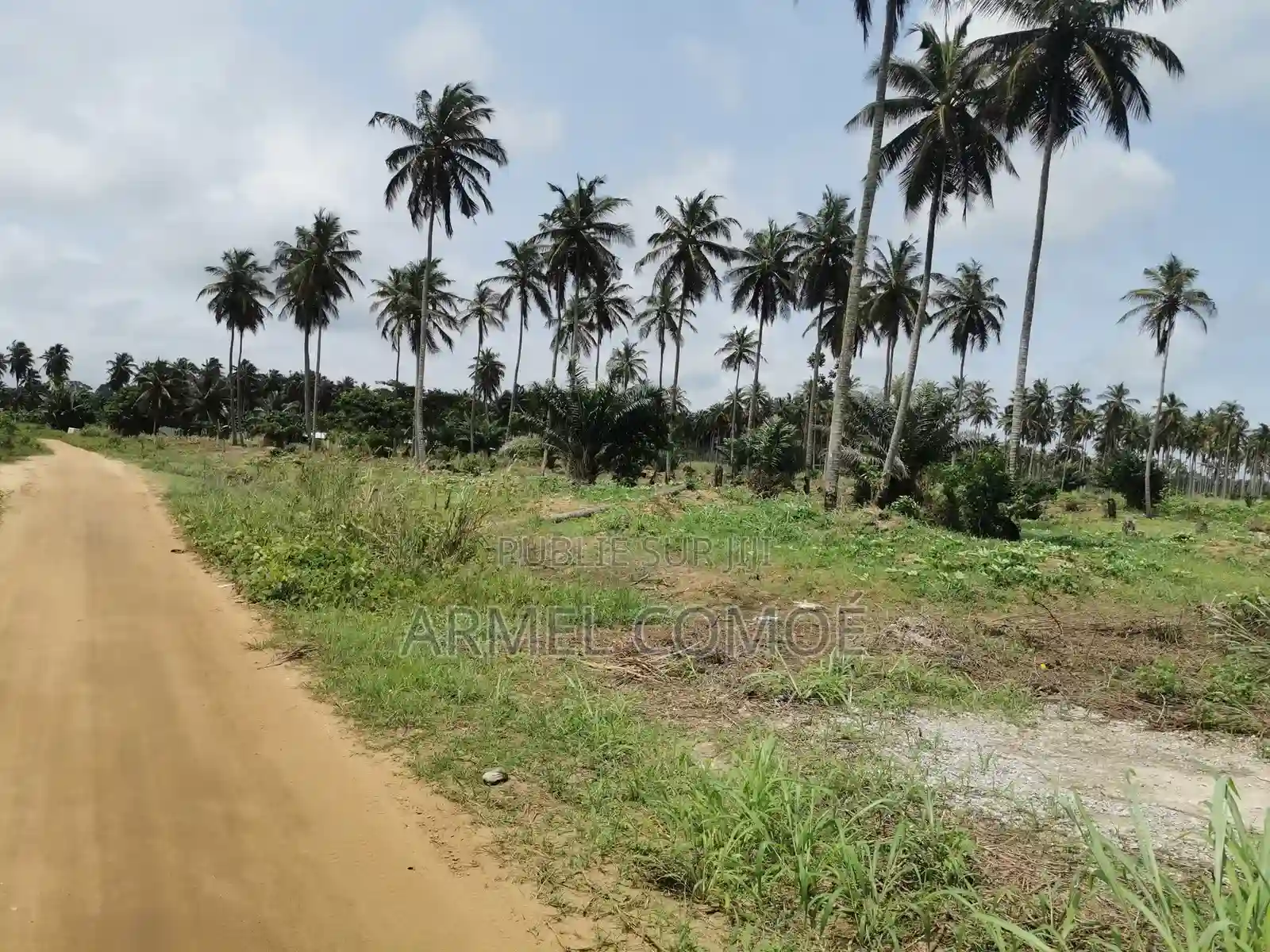Terrain en Vente Sicor Jacqueville - Vue 3