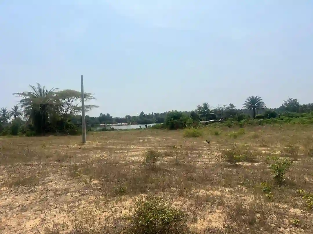 Vente Terrain 1000m² Avec ACD À Port Bouet Anna