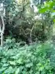 Lotissement 150 Hectares à Dabou - Vue 1