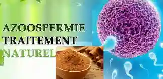 Traitement de L’azoospermie - Vue 2