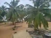 Villa Duplex en Vente Grand Bassam - Vue 1