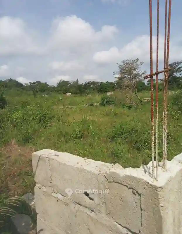 Terrain2132m²- Yamoussoukro