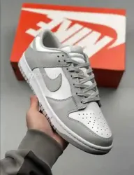 Chaussures Nike SB