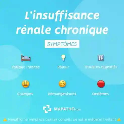 Traitement de L’insuffisance Rénale - Vue 2