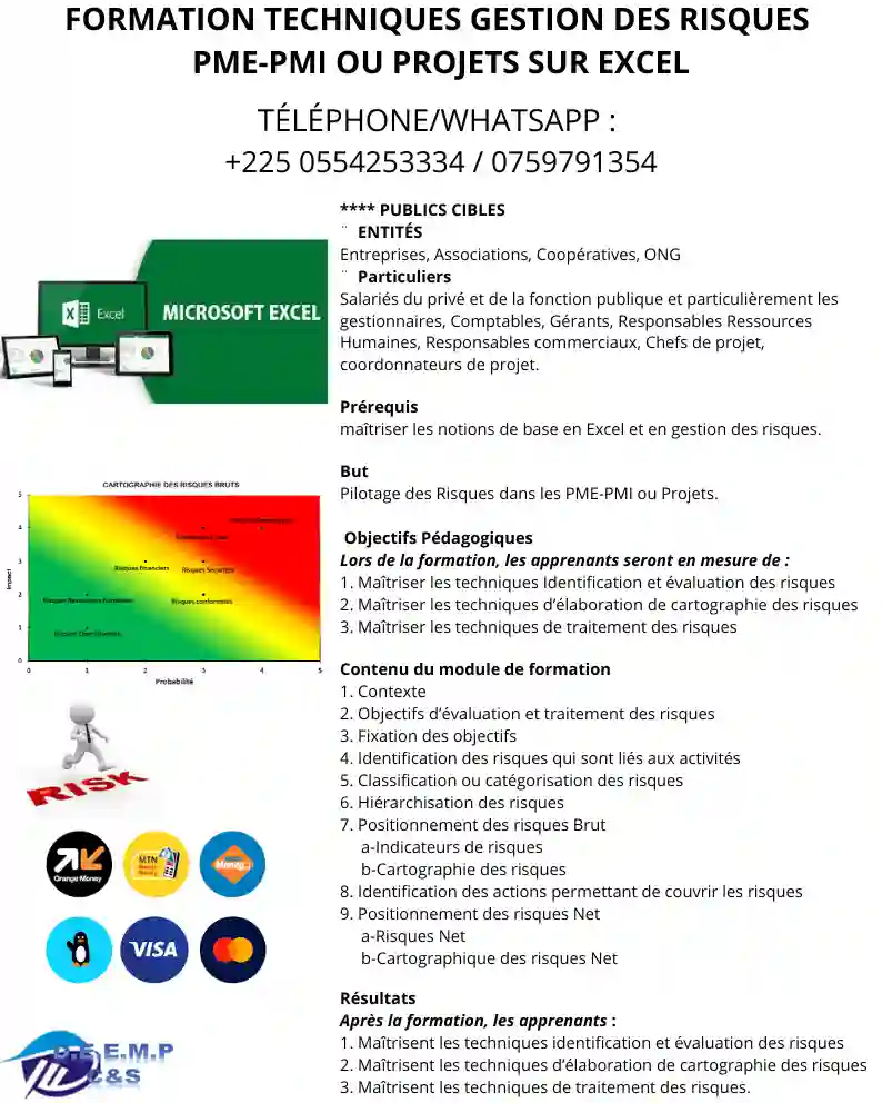Formation aux Techniques de Gestion des Risques sur Excel