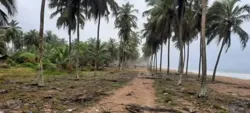 76 Ha Pieds Dans Mer Avec Tfa En Vente A Jacqueville