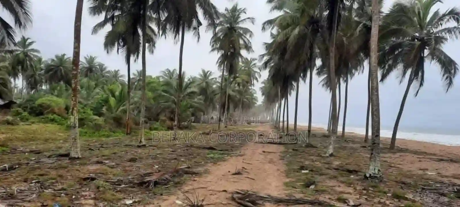 76 Ha Pieds Dans Mer Avec Tfa En Vente A Jacqueville