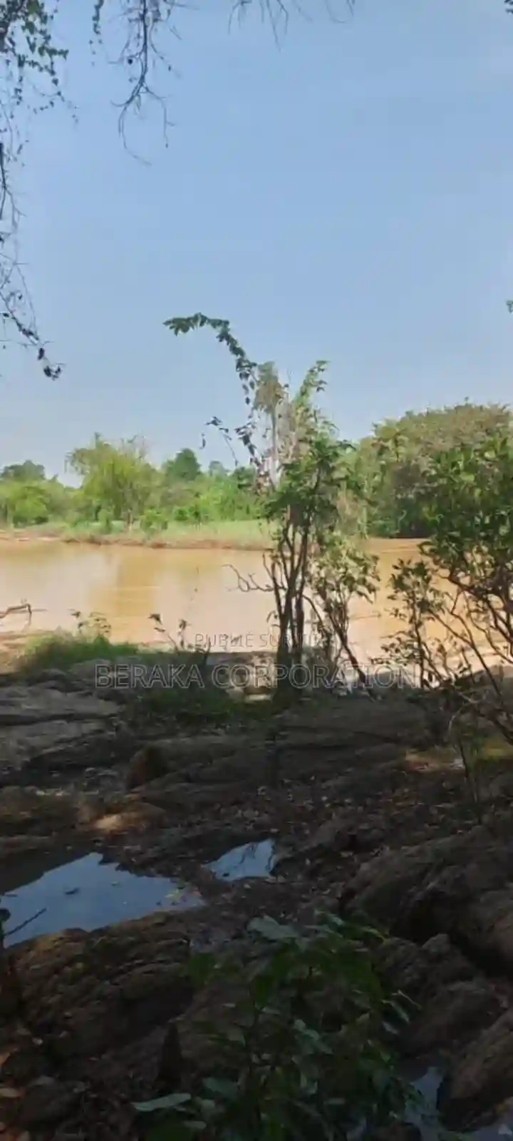 956 Hectares en Vente a 18km DE Dimbokro - Vue 1