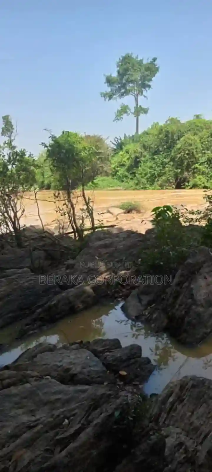 956 Hectares en Vente a 18km DE Dimbokro - Vue 4