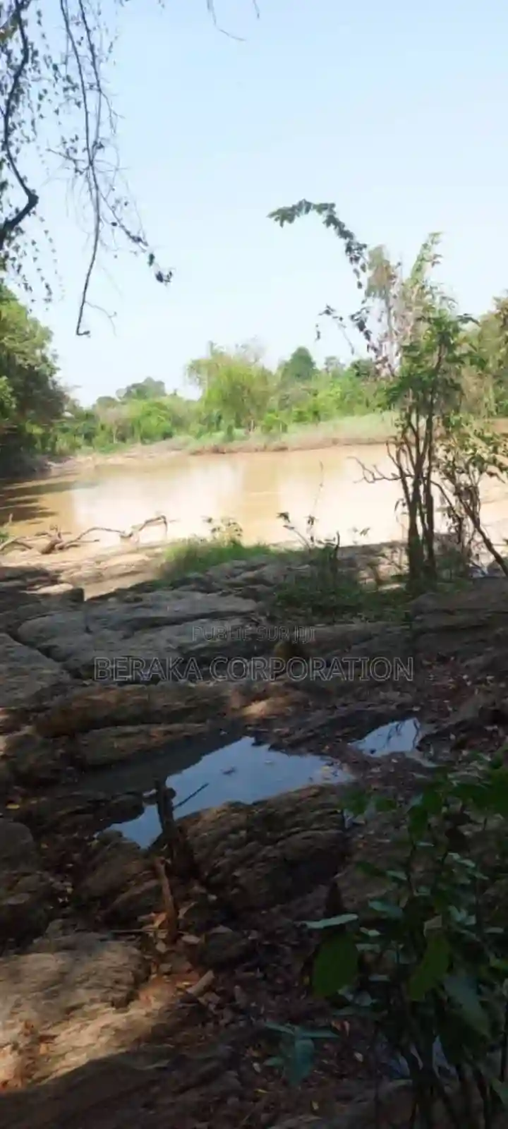 956 Hectares en Vente a 18km DE Dimbokro - Vue 5