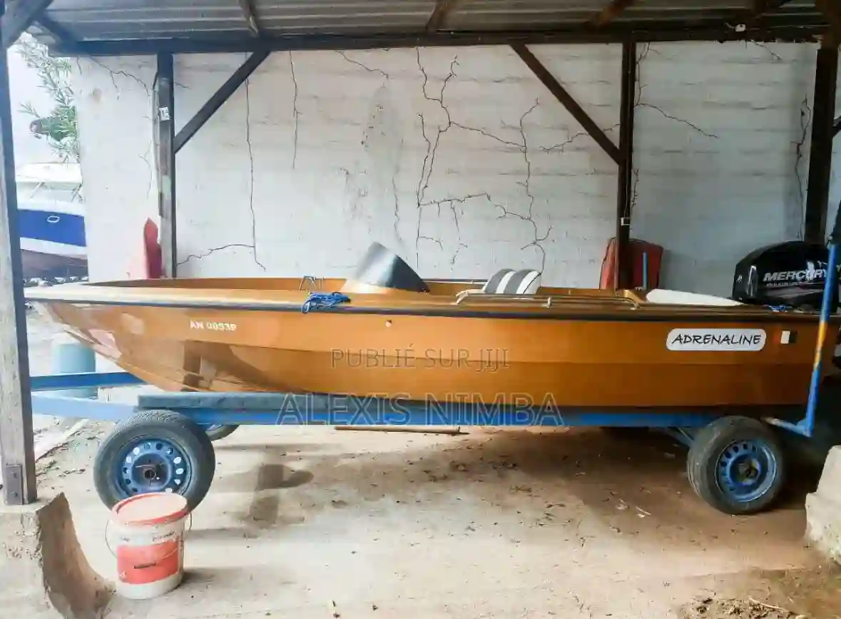 En Vente Bateau Coque Polyester Shakespeare