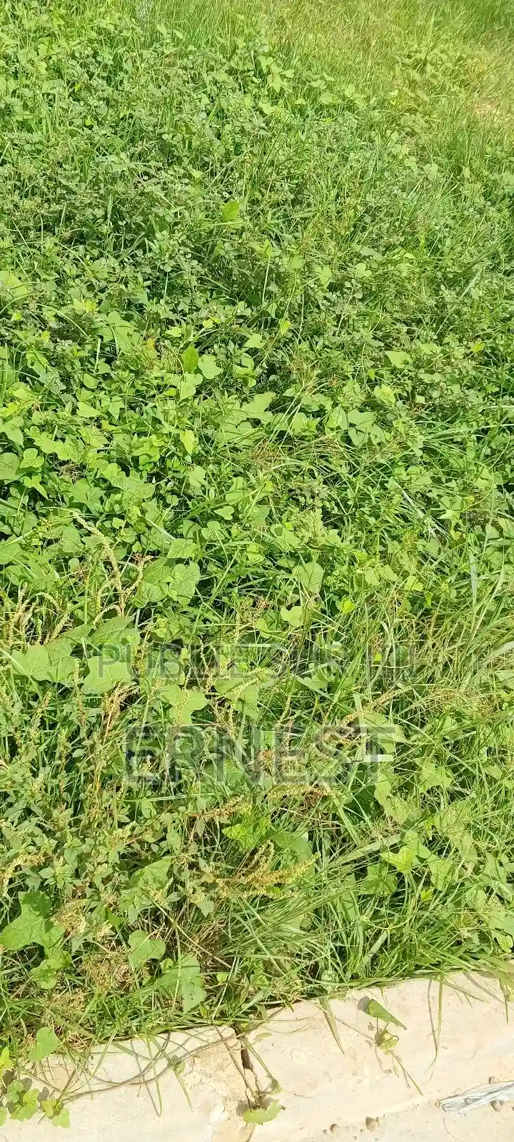 Terrain À Azaguie - Vue 1