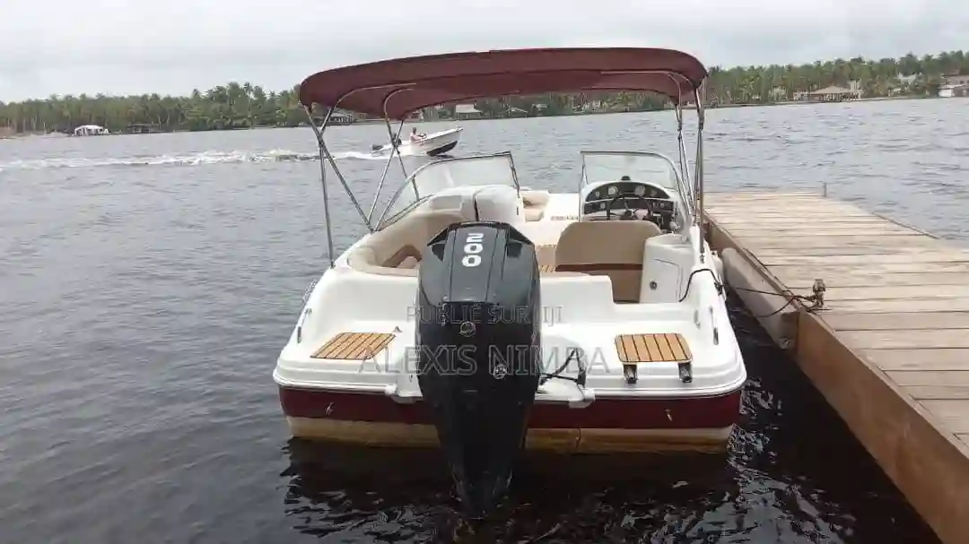 Bateau Luxueux Palmer Vip - Vue 1