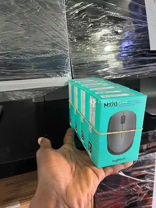 Souris Logitech M170 - Vue 1