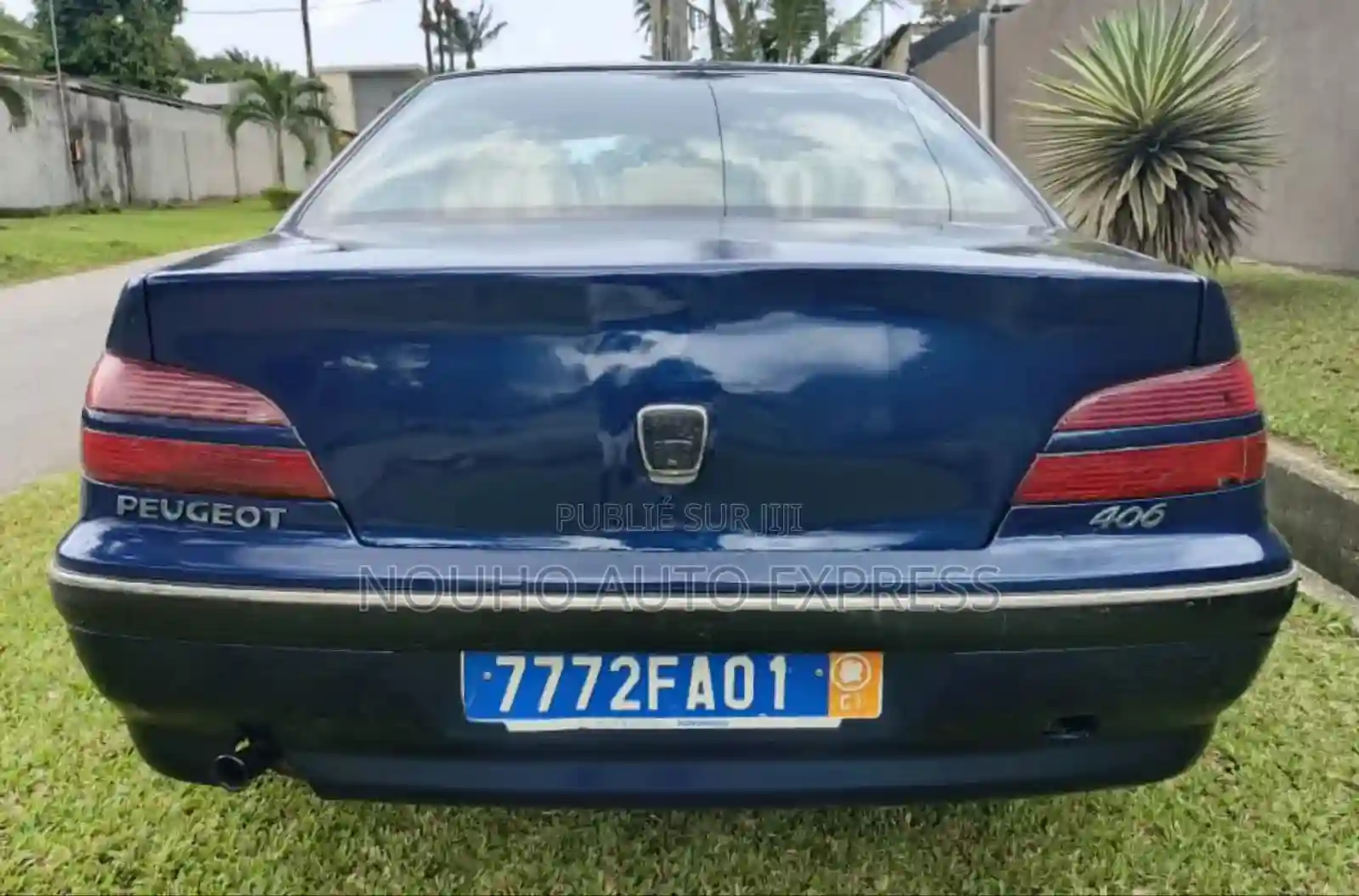 Peugeot 406 2001 Bleu - Vue 5