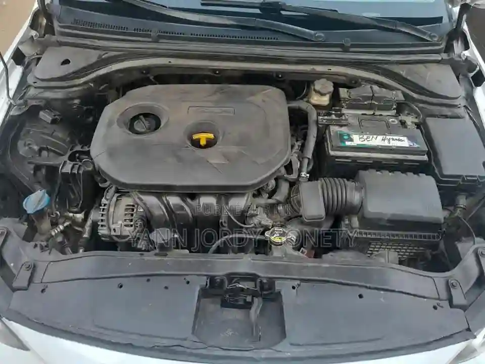 Hyundai Elantra 2017 Blanc - Vue 11