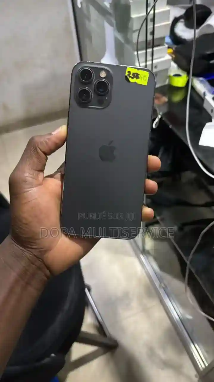 Pomme Iphone 12 Pro Max 256 GB Bronze - Vue 1