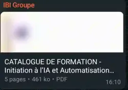 Formations Professionnelles