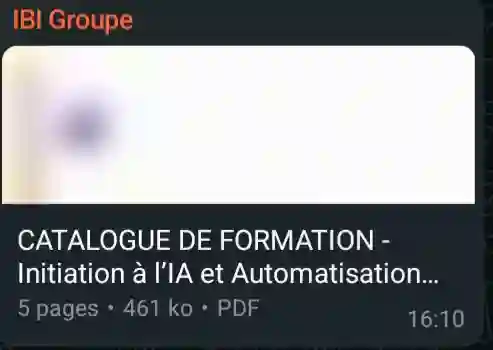 Formations Professionnelles