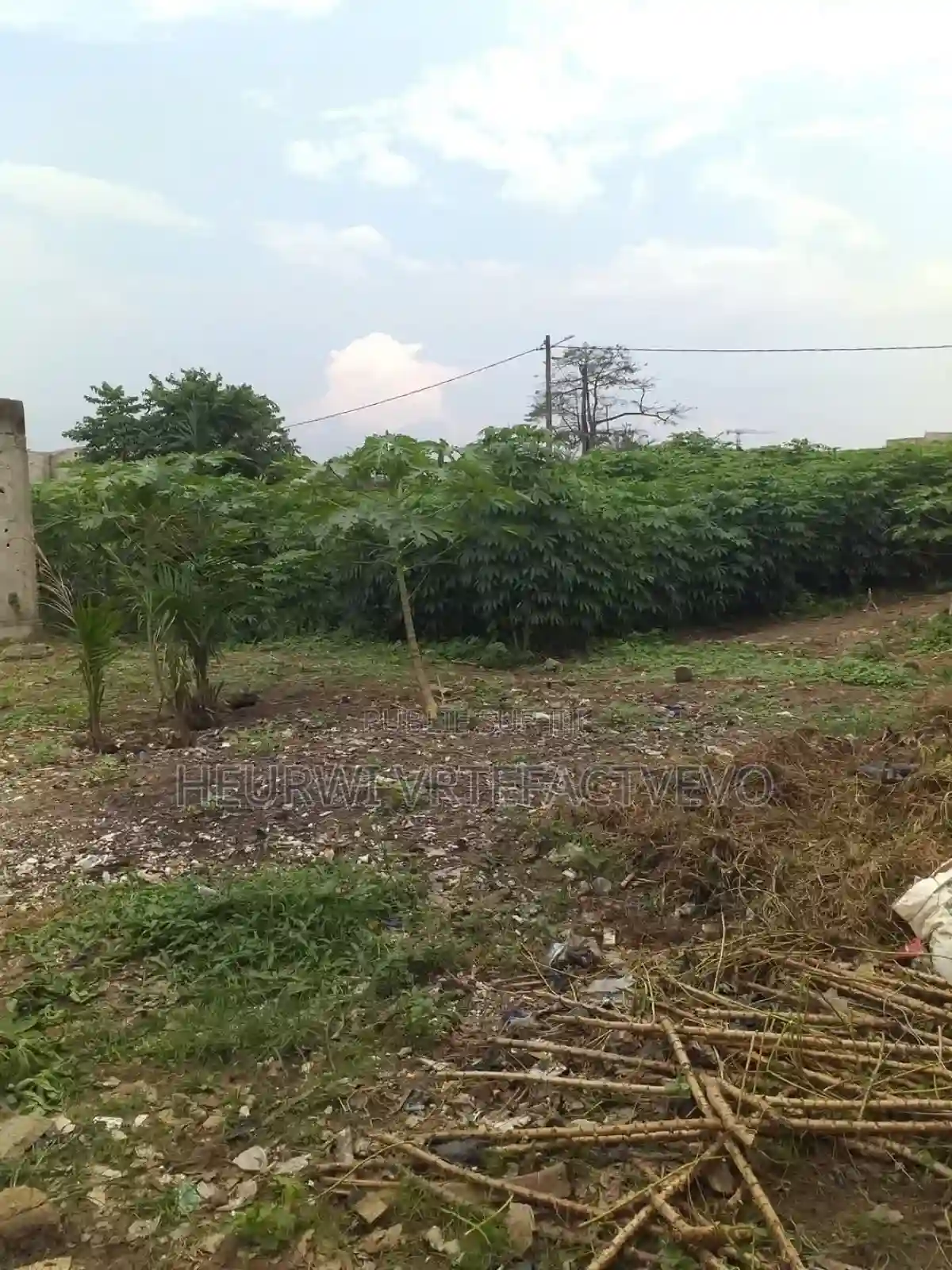 100 Hectares en Vente À Songon Kassemblé - Vue 1
