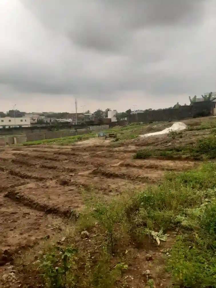 Terrain DE 1600 M2 Beverly Hills Morcellable - Vue 1