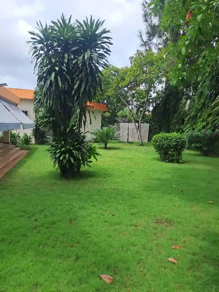 Villa Basse 9 P A Louer Bonoumin - Vue 2