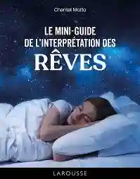 Interprétation des Rêves - Vue 1