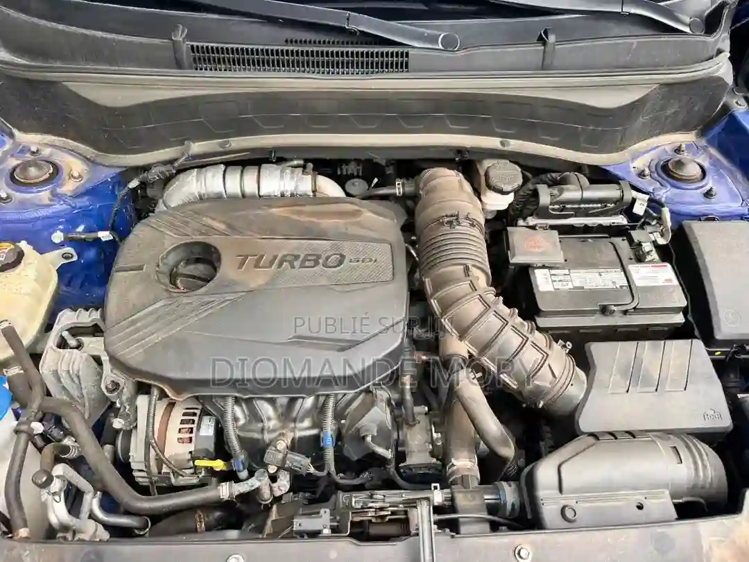 Kia Seltos LX 2023 Bleu