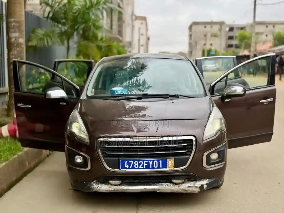 Peugeot 3008 2013 Marron - Vue 6