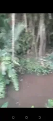 Vente DE Parcelle Agricole a Agboville Petit Yapo