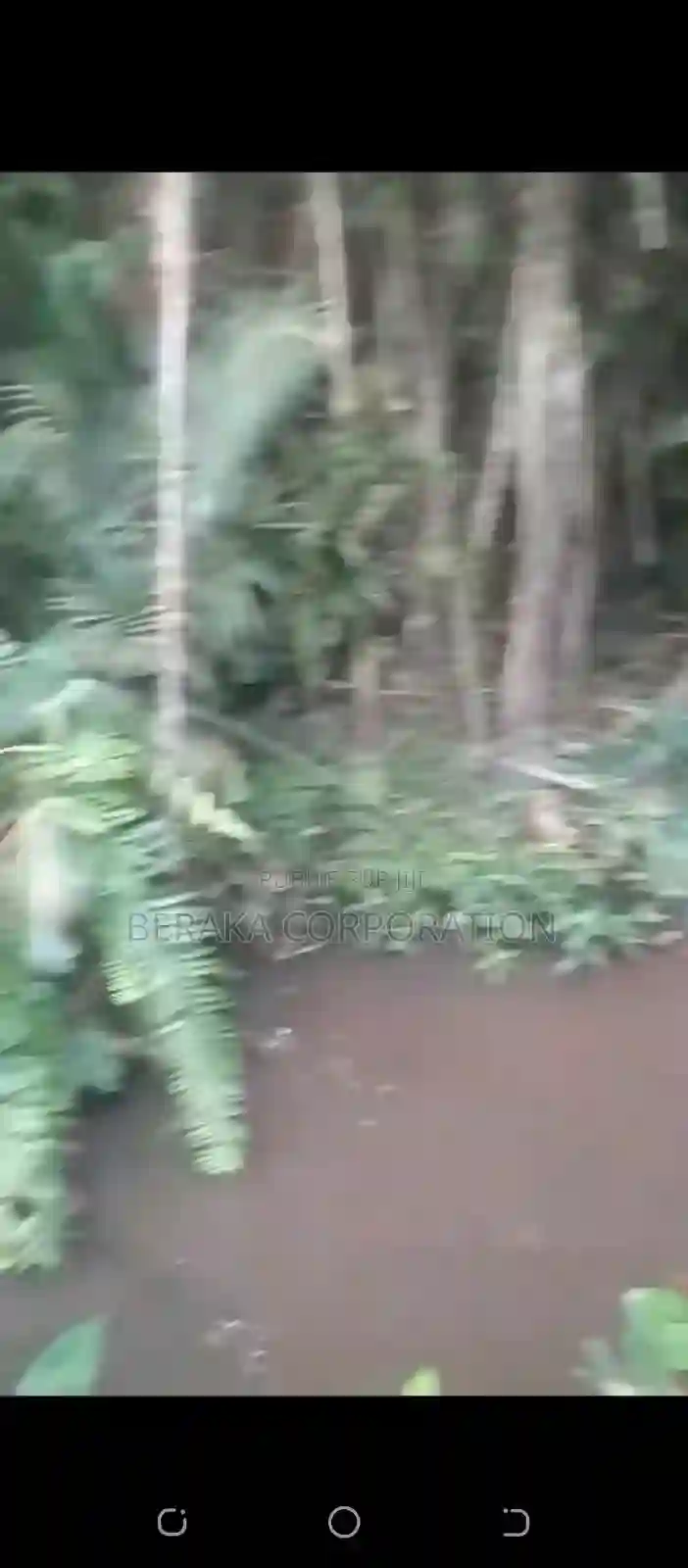Vente DE Parcelle Agricole a Agboville Petit Yapo