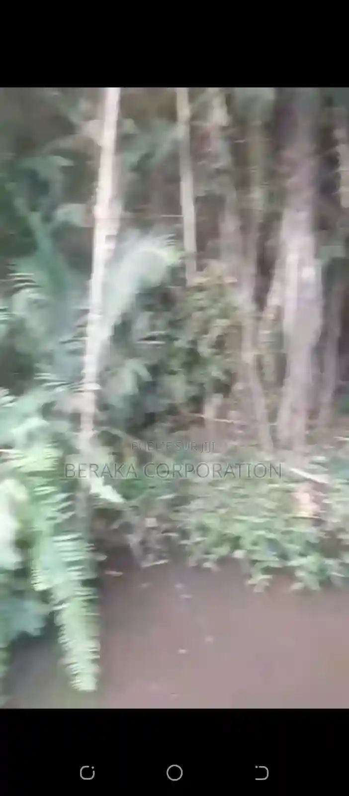 Vente DE Parcelle Agricole a Agboville Petit Yapo - Vue 3