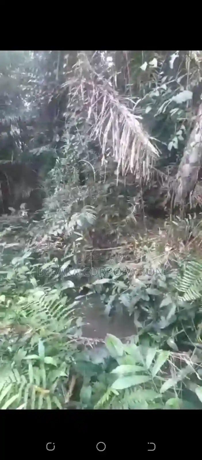 Vente DE Parcelle Agricole a Agboville Petit Yapo - Vue 4