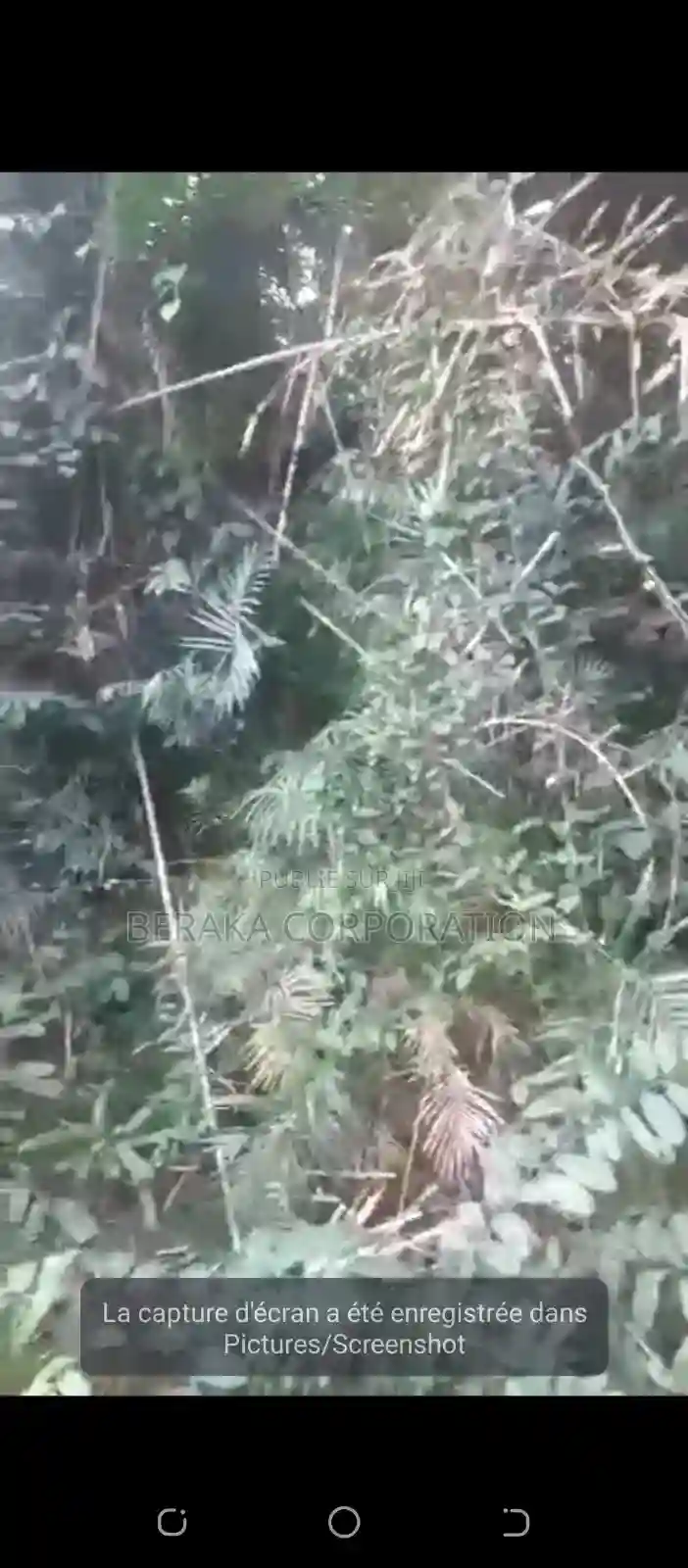 Vente DE Parcelle Agricole a Agboville Petit Yapo - Vue 6