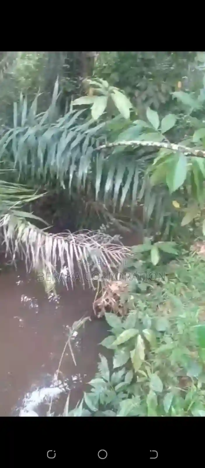 Vente DE Parcelle Agricole a Agboville Petit Yapo - Vue 8